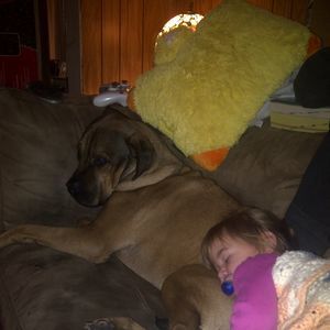 Meet your Posher, Jim